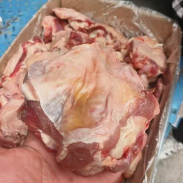 大个牛窝骨，14一斤，单个1斤以上，肉多骨头小，，炖锅首