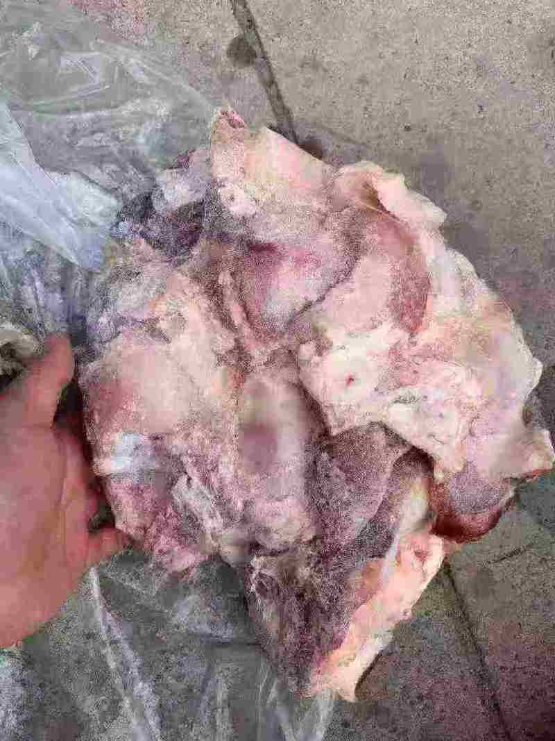 大个牛窝骨，14一斤，单个1斤以上，肉多骨头小，，炖锅首