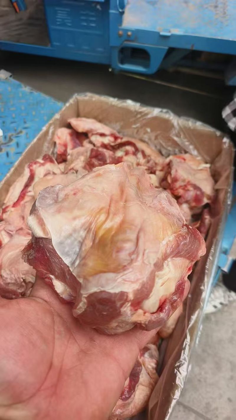 大个牛窝骨，14一斤，单个1斤以上，肉多骨头小，，炖锅首