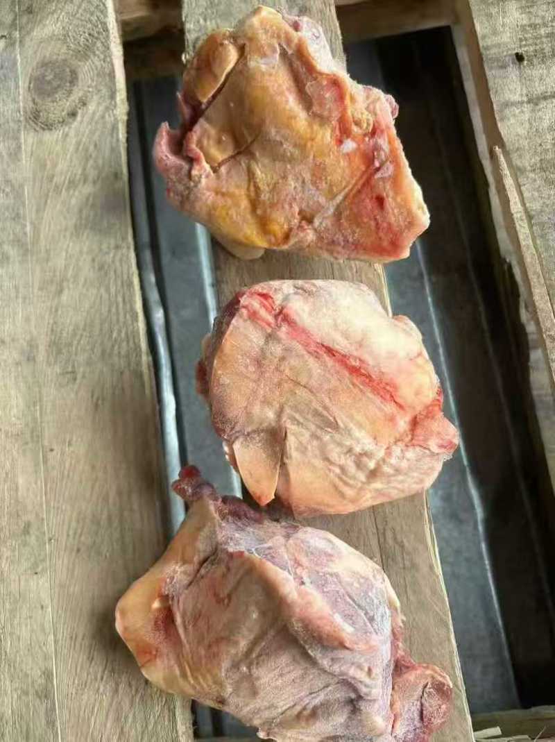 大个牛窝骨，14一斤，单个1斤以上，肉多骨头小，，炖锅首