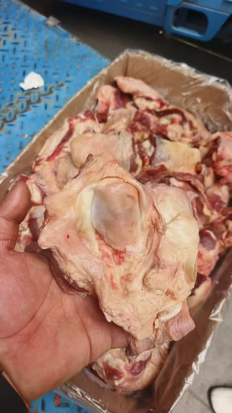 大个牛窝骨，14一斤，单个1斤以上，肉多骨头小，，炖锅首