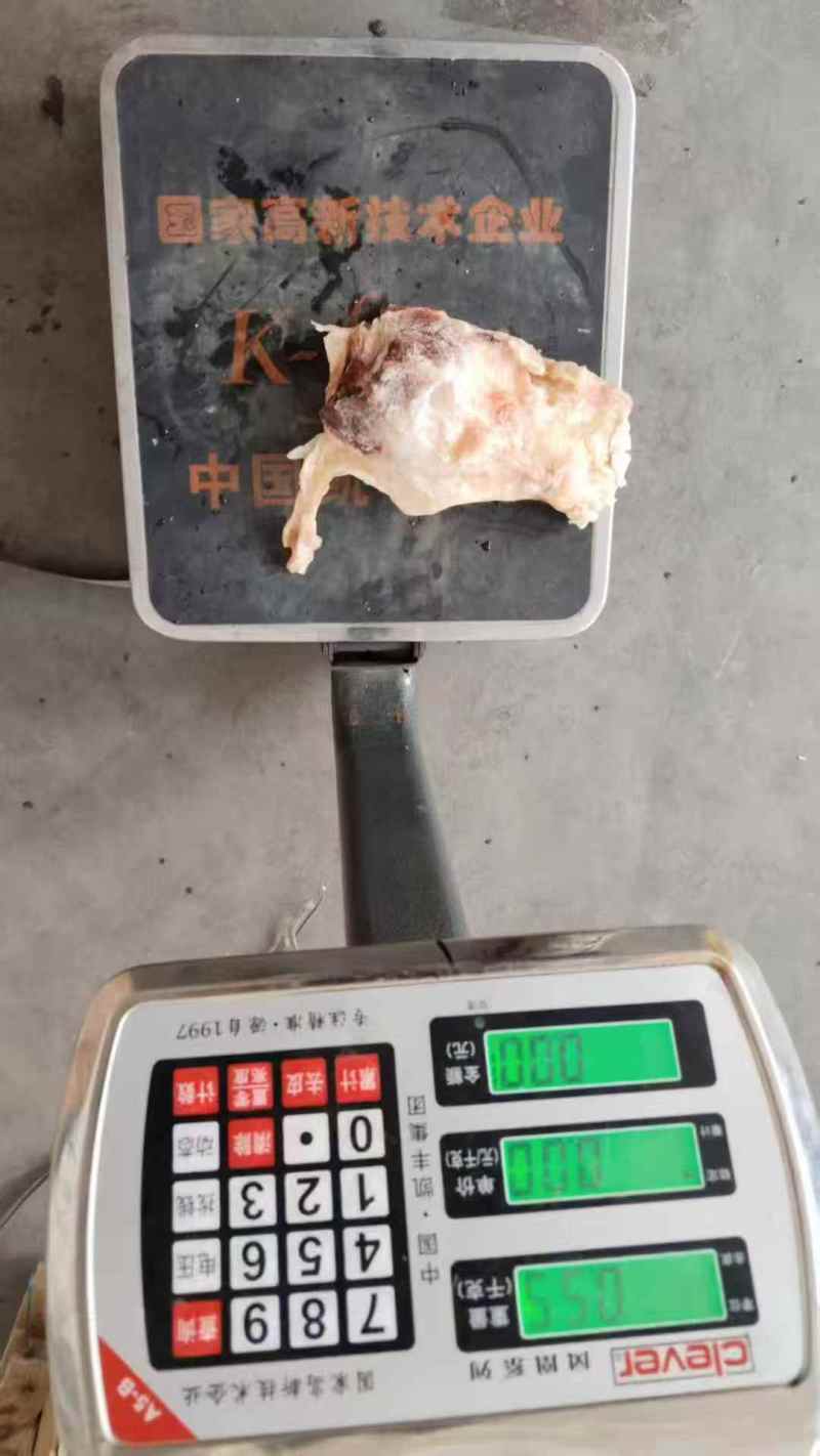 大个牛窝骨，14一斤，单个1斤以上，肉多骨头小，，炖锅首