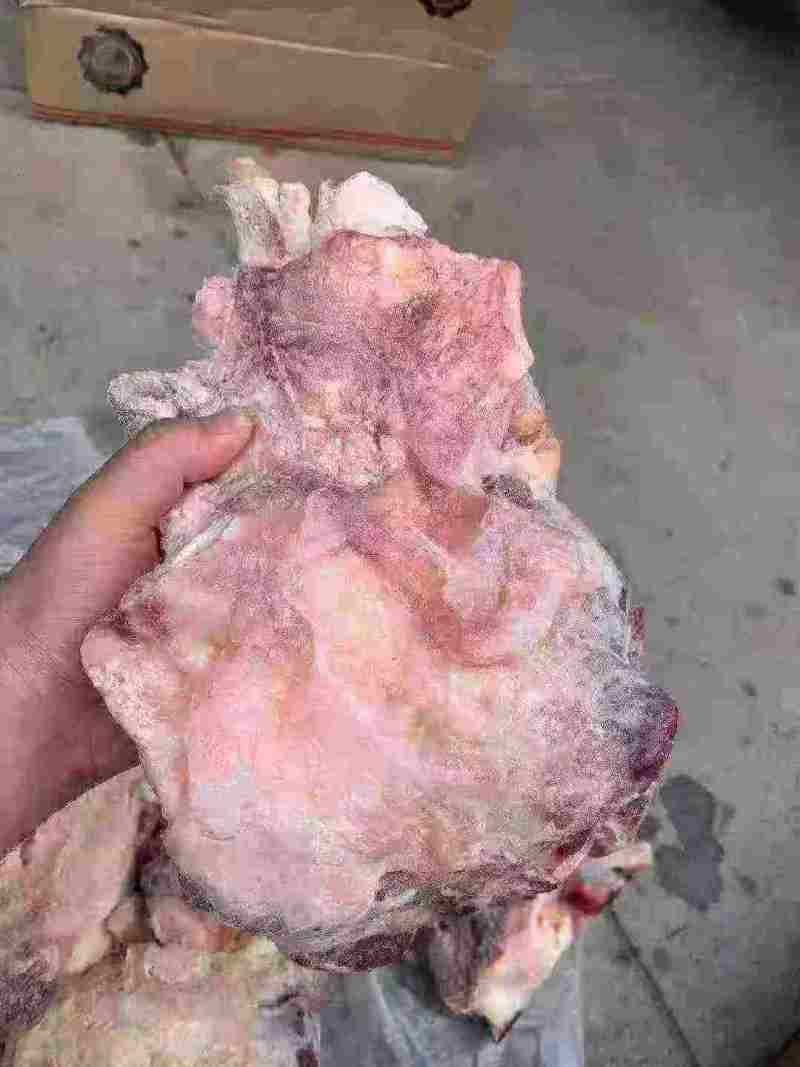 大个牛窝骨，14一斤，单个1斤以上，肉多骨头小，，炖锅首