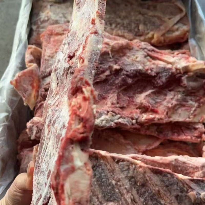 牛羽骨，
