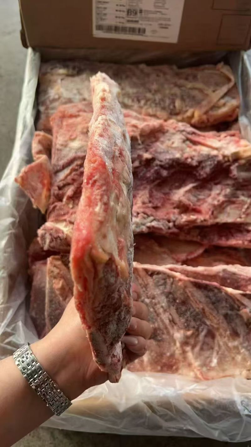 牛羽骨，