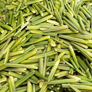 高山茭白大量上市