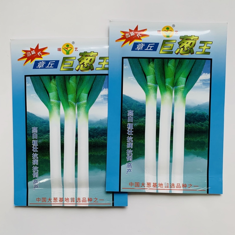 山东大葱种子大田基地优选章丘大葱种子正宗大葱脆甜味浓