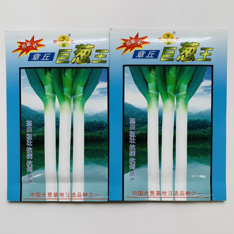 山东大葱种子大田基地优选章丘大葱种子正宗大葱脆甜味浓