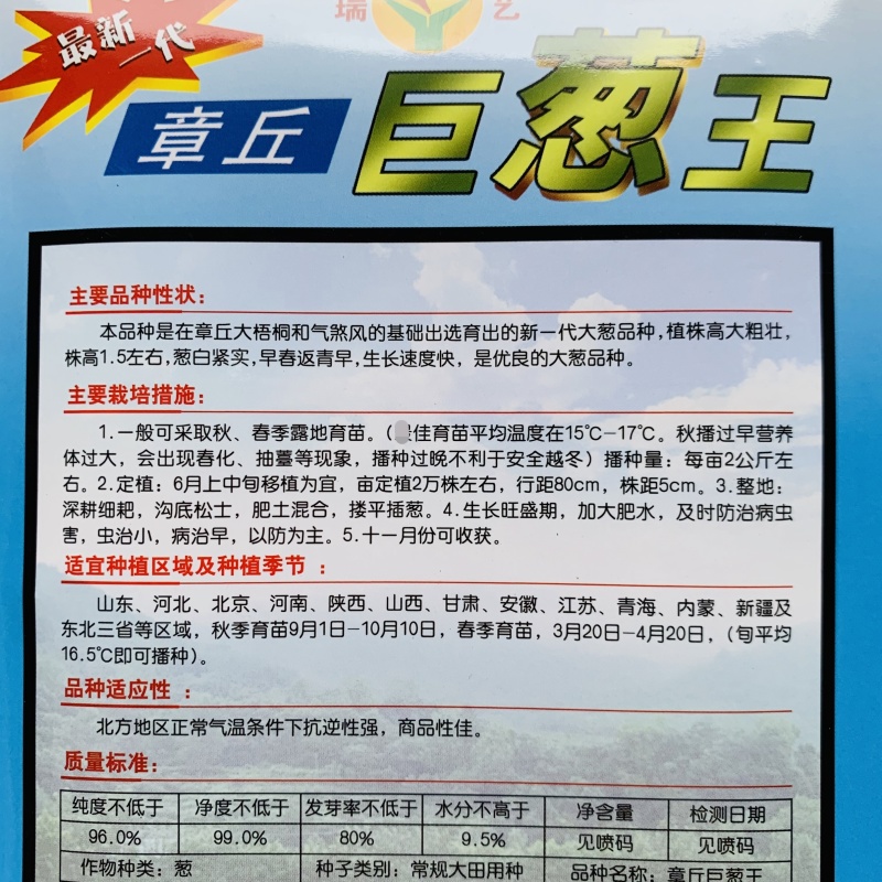 山东大葱种子大田基地优选章丘大葱种子正宗大葱脆甜味浓
