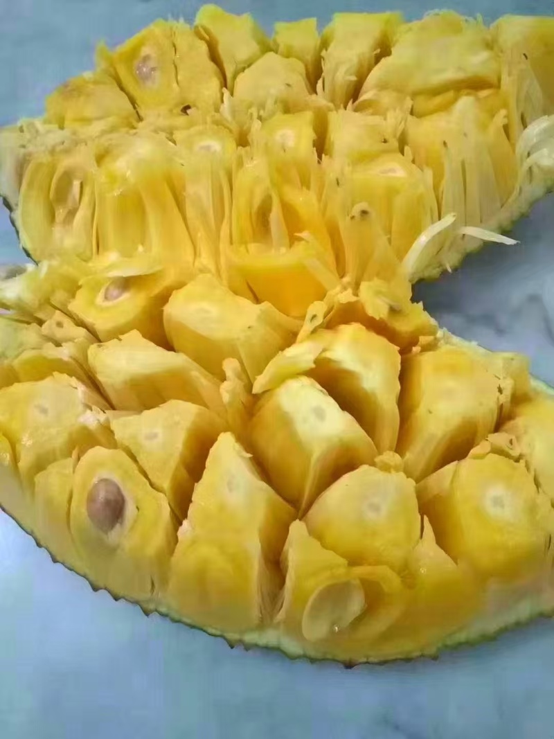 无胶黄金菠萝蜜产地一手货源对接全国按需包装