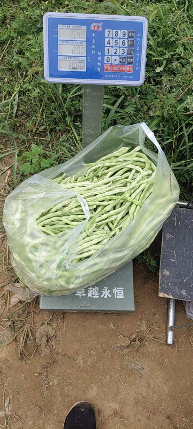 抓紧时间订购，