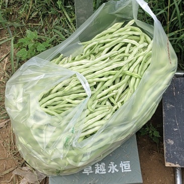 抓紧时间订购，