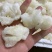小龙胶佛跳墙火锅食材