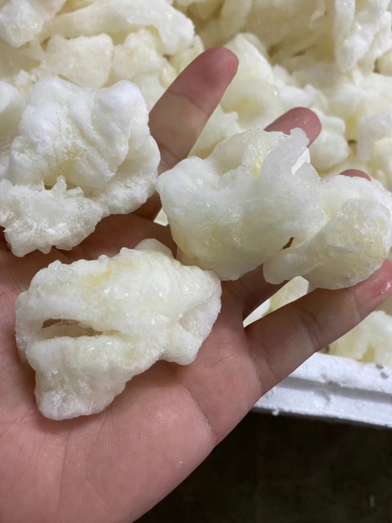 小龙胶佛跳墙火锅食材