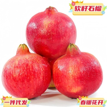 现货一件代发社区团购四川会理突尼斯软籽石榴当季水果