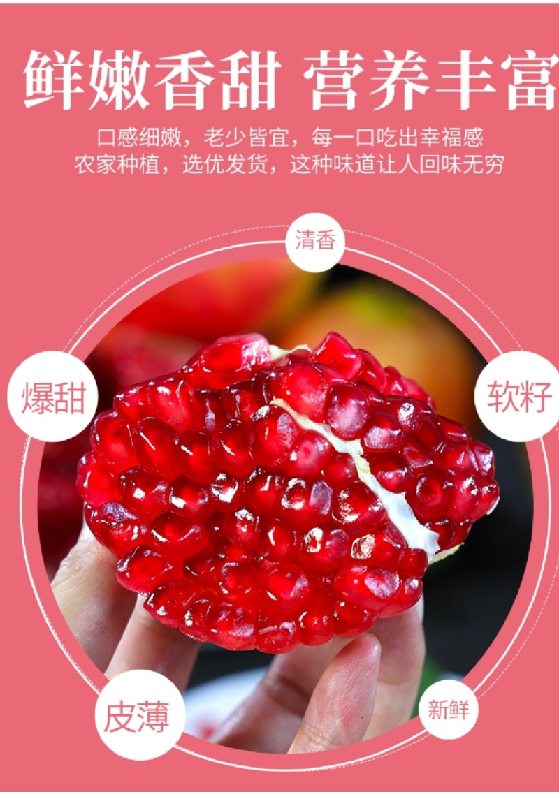 现货一件代发社区团购四川会理突尼斯软籽石榴当季水果