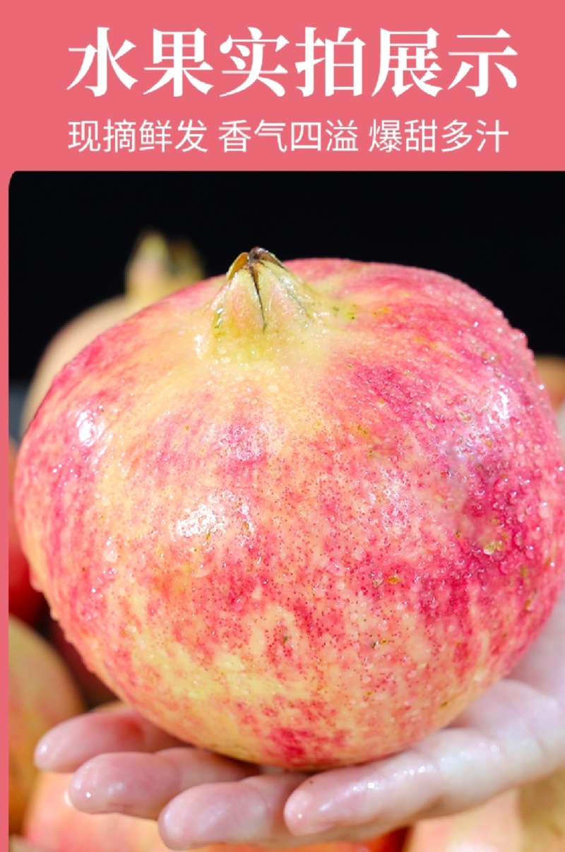现货一件代发社区团购四川会理突尼斯软籽石榴当季水果