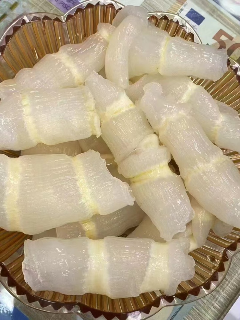 红鱼胶