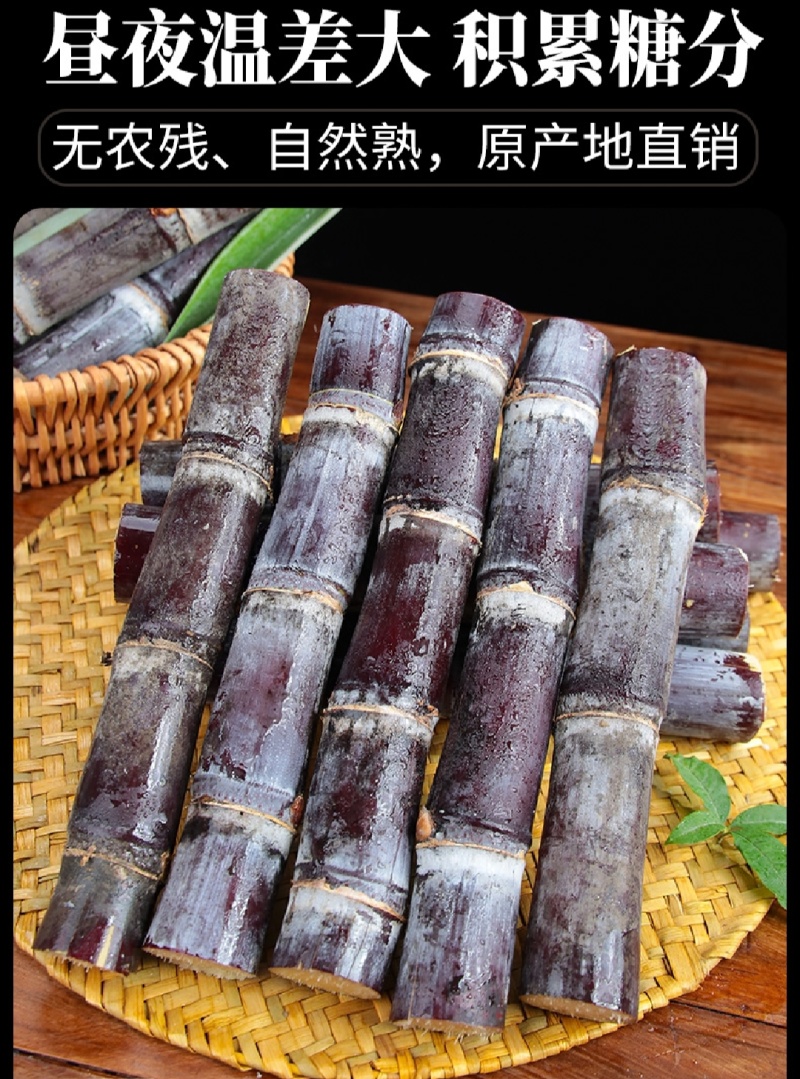 广西现货黑皮紫皮甘蔗产地直发一件代发市场批发