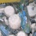 荔浦芋头块300克商超社区团购荔浦发货，新鲜去皮