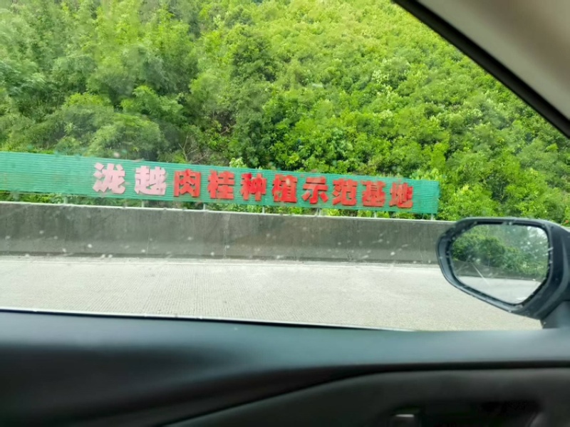 肉桂大量上市，可批发零售欢迎来电咨询