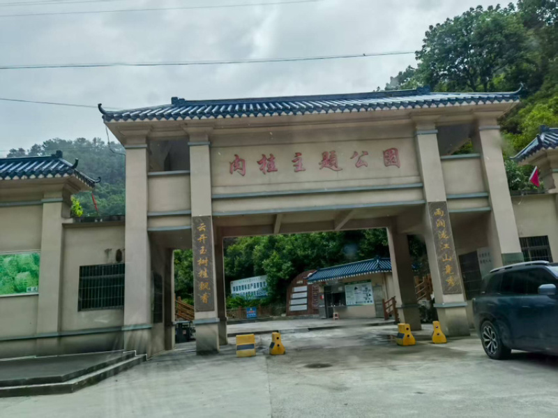 肉桂大量上市，可批发零售欢迎来电咨询