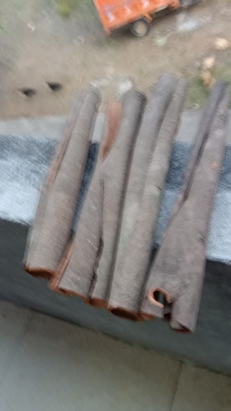 肉桂大量上市，可批发零售欢迎来电咨询