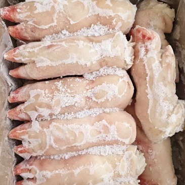 纯干猪蹄