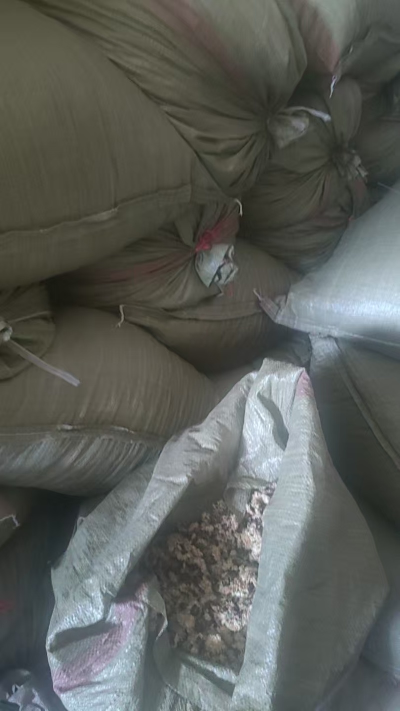 河南焦作武陟菊花茶货源充足/精品菊花茶自产自销量大从优