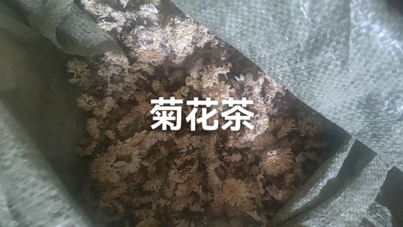 河南焦作武陟菊花茶货源充足/精品菊花茶自产自销量大从优