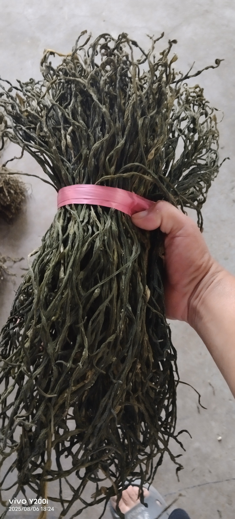干豆角豇豆角干货长豆角干一手货源源头厂家