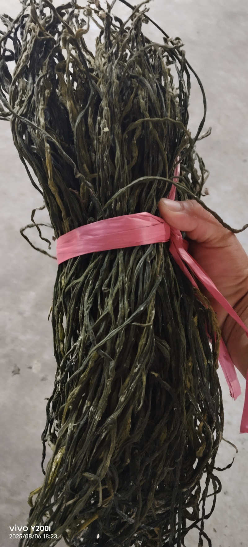 干豆角豇豆角干货长豆角干一手货源源头厂家