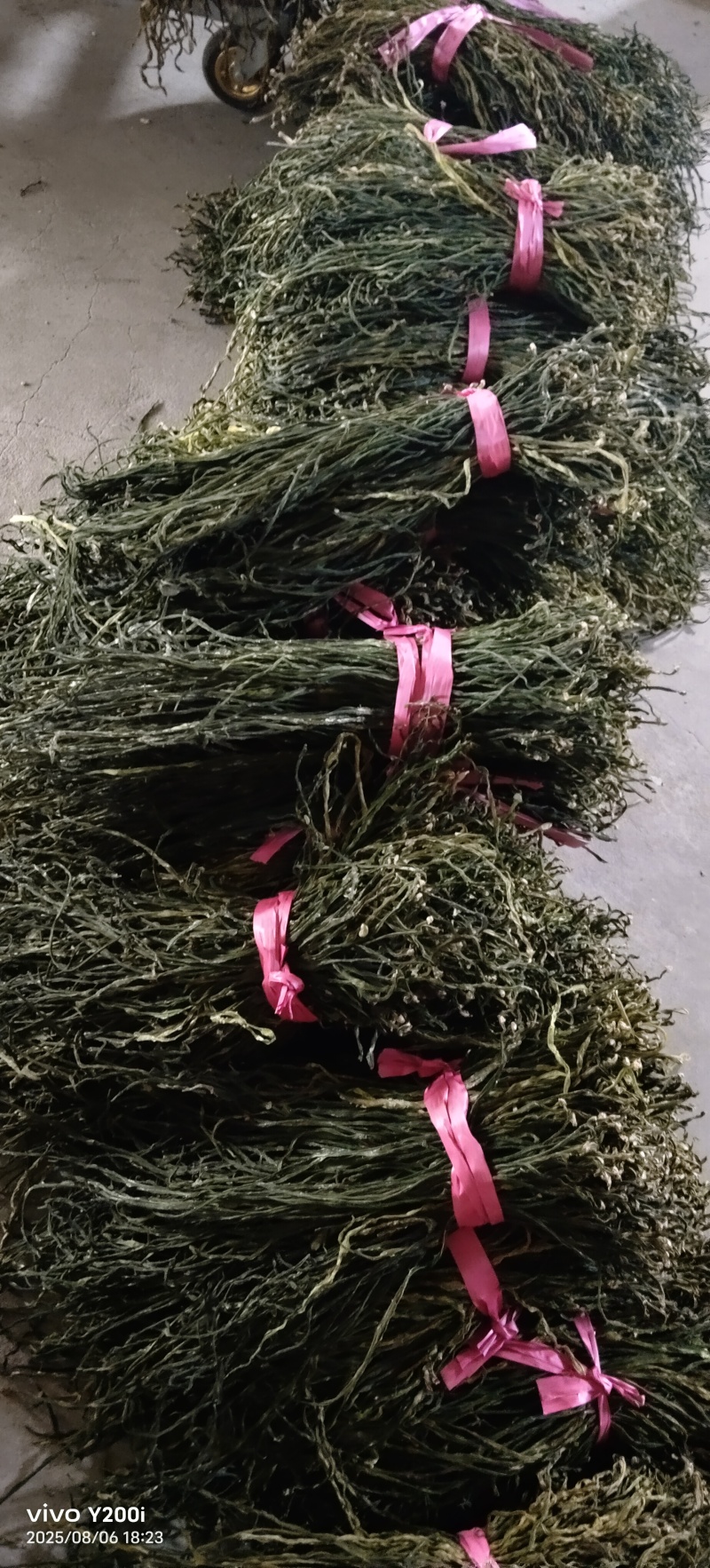 干豆角豇豆角干货长豆角干一手货源源头厂家