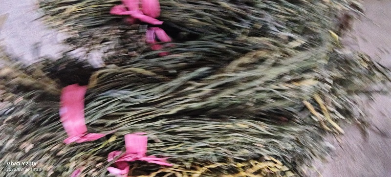 干豆角豇豆角干货长豆角干一手货源源头厂家