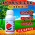 15%氟啶虫酰胺联苯菊酯抗性蚜虫触杀胃毒杀虫广谱