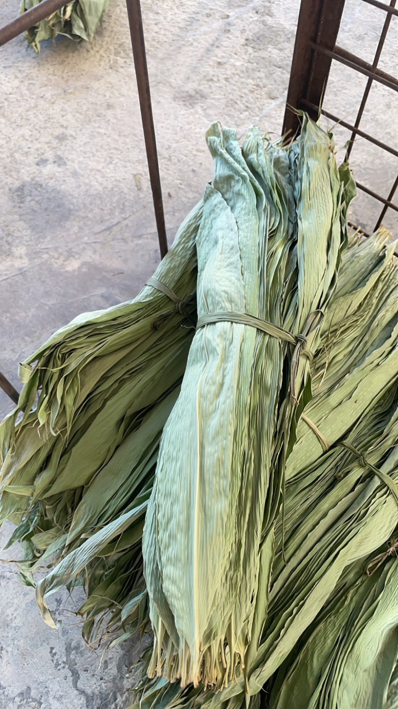 野生粽叶批发