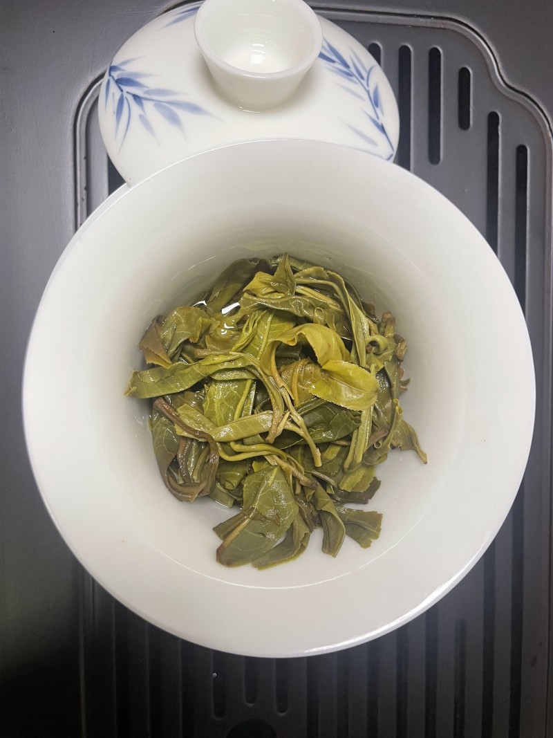 冰岛古树2025年春茶200g/饼
