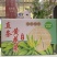 宁夏大白条黄花菜精品黄花菜大量供应代发全国市场电商