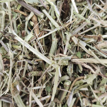 优质牛草羊草花生秧常年供应质量保证