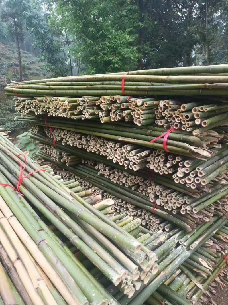 竹杆农用竹杆大棚竹杆苗子杆大量批发出售量大价优