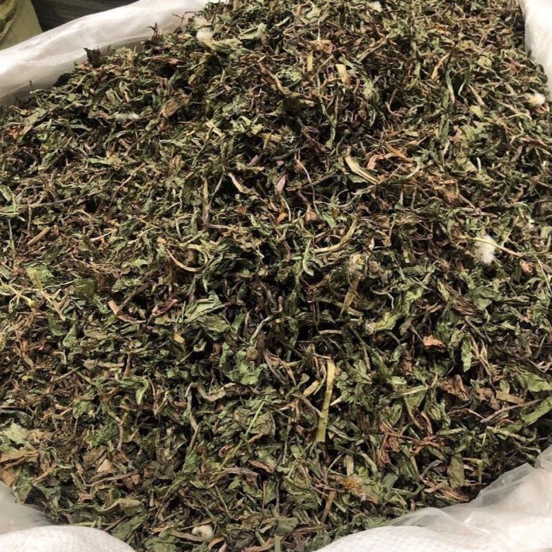 正宗中药材蒲蒲公英茶正品新货熏蒲公英新鲜浦公英干