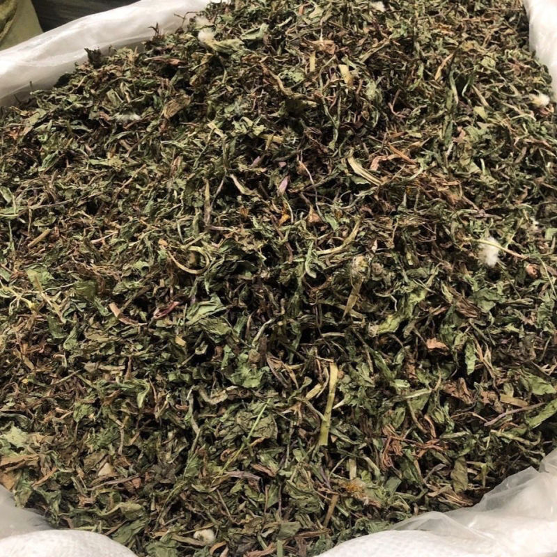 正宗中药材蒲蒲公英茶正品新货熏蒲公英新鲜浦公英干
