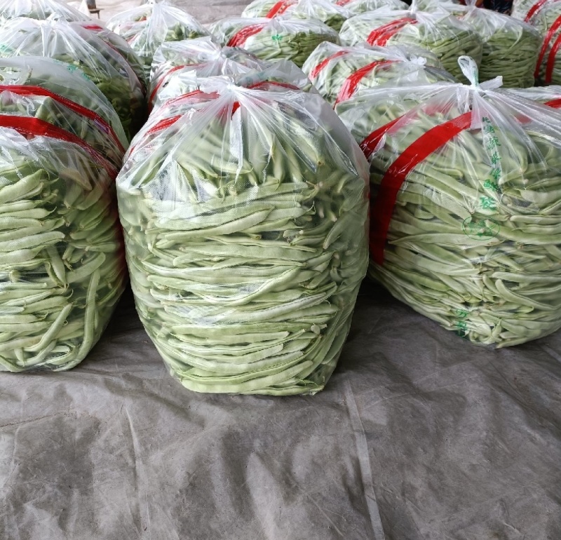 【推荐】四季豆无丝豆供应市场商超电商一手货源量大价优