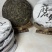 磨烈古树2025年春茶357g/饼