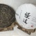 懂过古树2025年春茶357g/饼