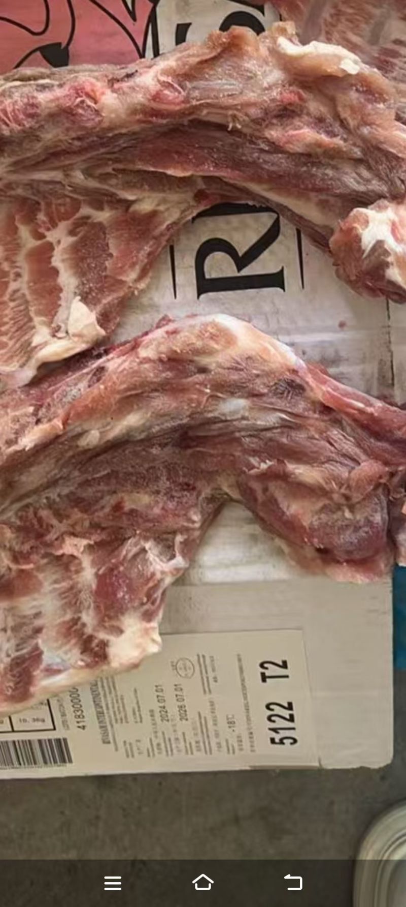 猪胫骨655