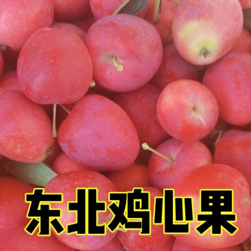 正宗东北鸡心果大量现货欢迎合作共赢