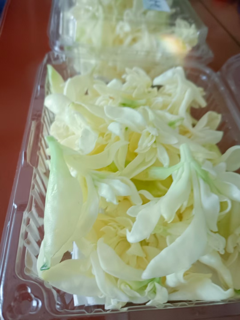 雪莲芯（头茬）