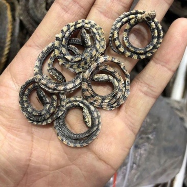 中药材金钱小花白花蛇干货正品