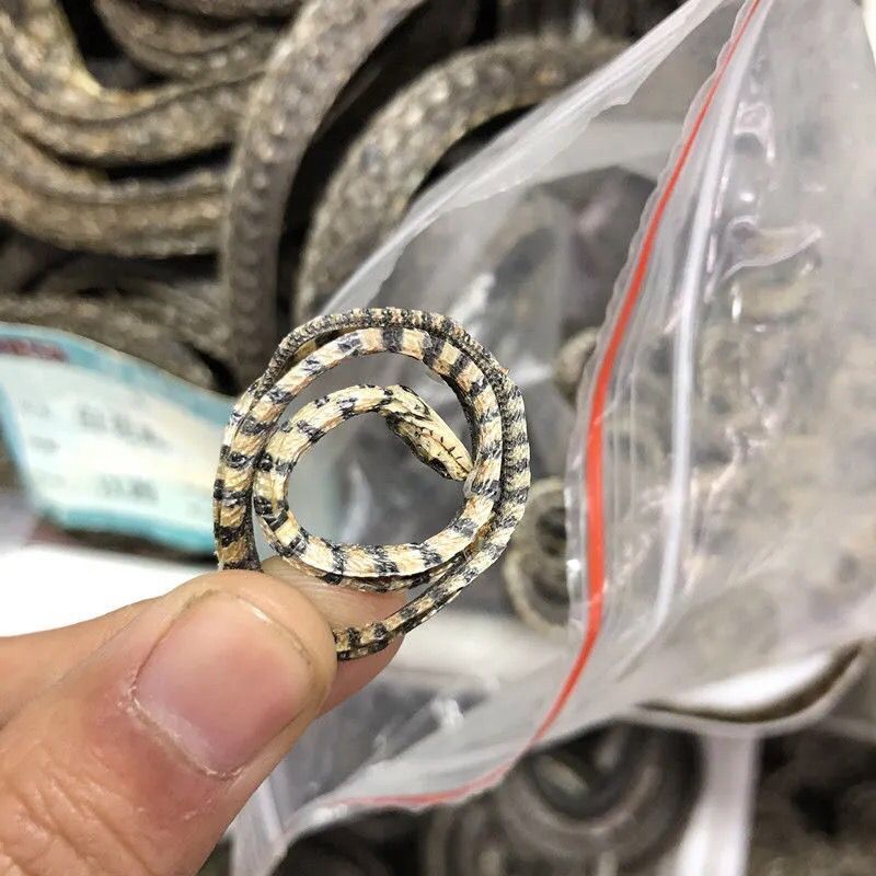 中药材金钱小花白花蛇干货正品